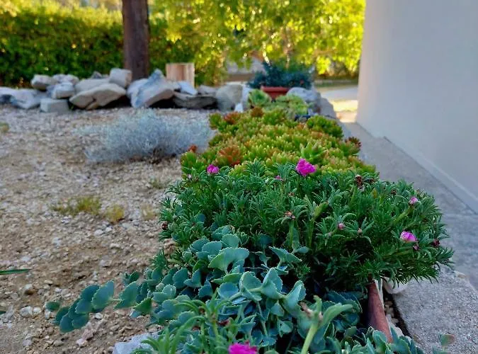 Villa Silencia 200 M Do Mora Jacuzzi Besplatni Parking Idealno Za Obitelj Pag Town