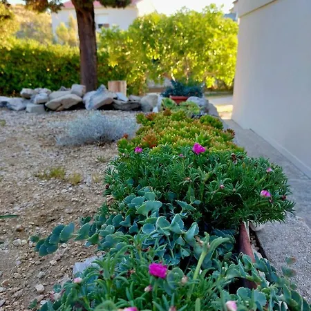 Villa Silencia 200 M Do Mora Jacuzzi Besplatni Parking Idealno Za Obitelj Pag Town