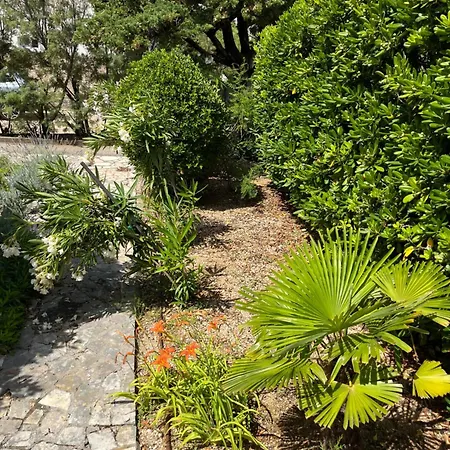 Silencia 200 M Do Mora Jacuzzi Besplatni Parking Idealno Za Obitelj *