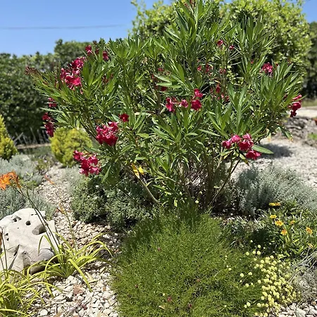 Villa Silencia 200 M Do Mora Jacuzzi Besplatni Parking Idealno Za Obitelj *