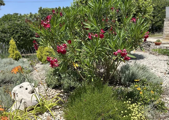 빌라 Silencia 200 M Do Mora Jacuzzi Besplatni Parking Idealno Za Obitelj *