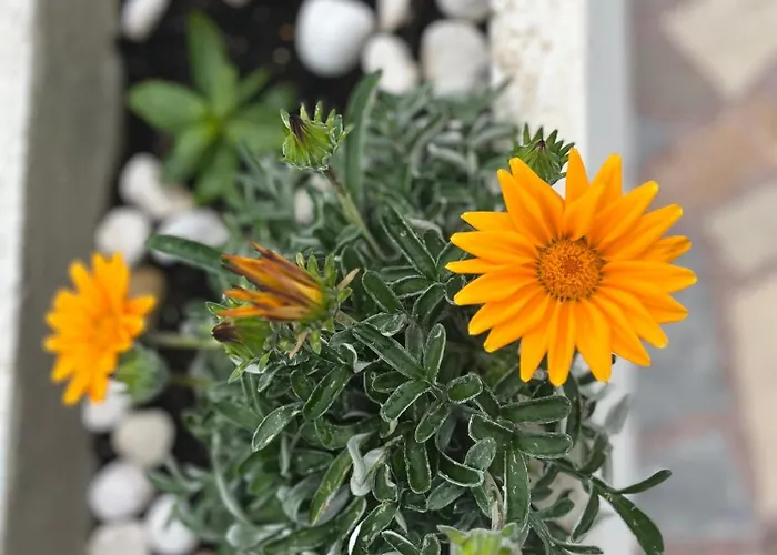 Silencia 200 M Do Mora Jacuzzi Besplatni Parking Idealno Za Obitelj * 파그